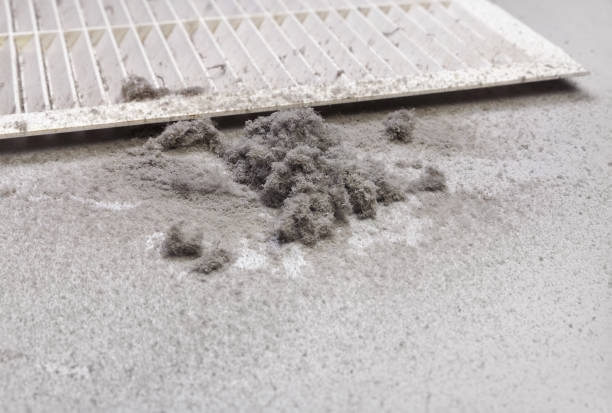 Best Professional Duct Cleaning Services  in Lochsloy, WA